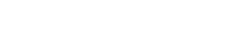 Northrop Grumman Logo